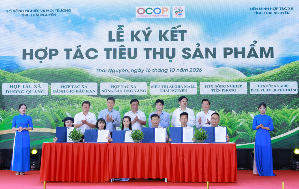 Thái Nguyên