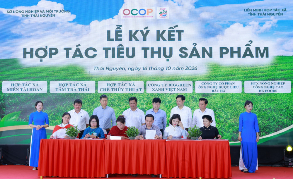 Thái Nguyên