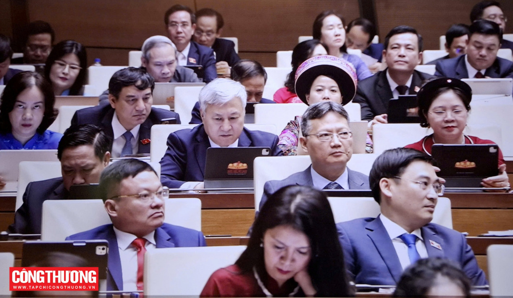 đại biểu