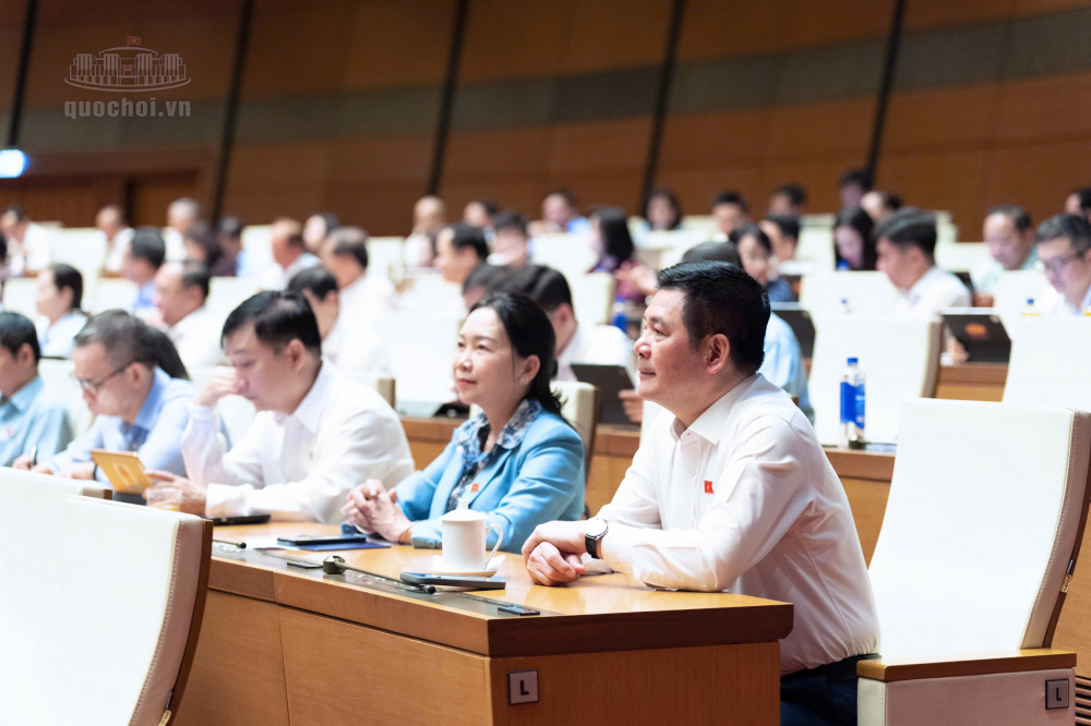 Phó Chủ tịch Quốc hội Nguyễn Hồng Diên và các đại biểu tham dự phiên họp