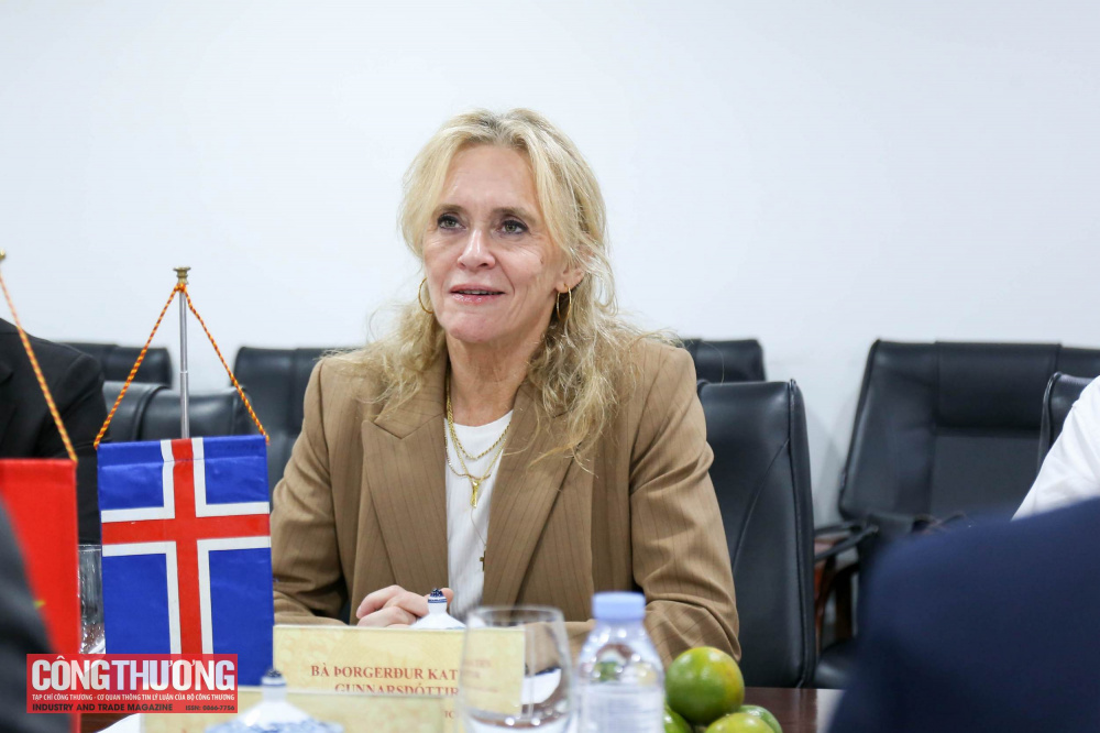 Việt Nam - Iceland: Sớm hoàn tất thủ tục, phấn đấu sớm đưa Hiệp định VEFTA vào thực thi trong năm 2027