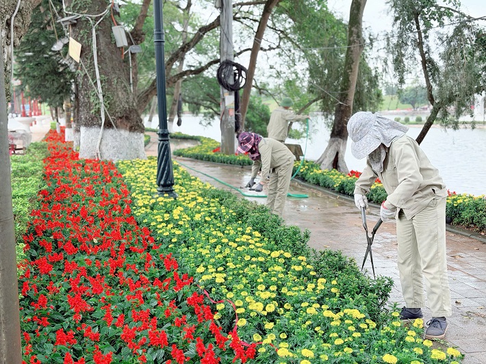 Môi trường