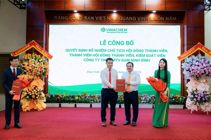 đạm ninh bình 2