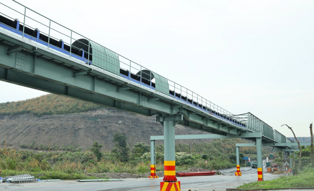 chuyển đổi số 6