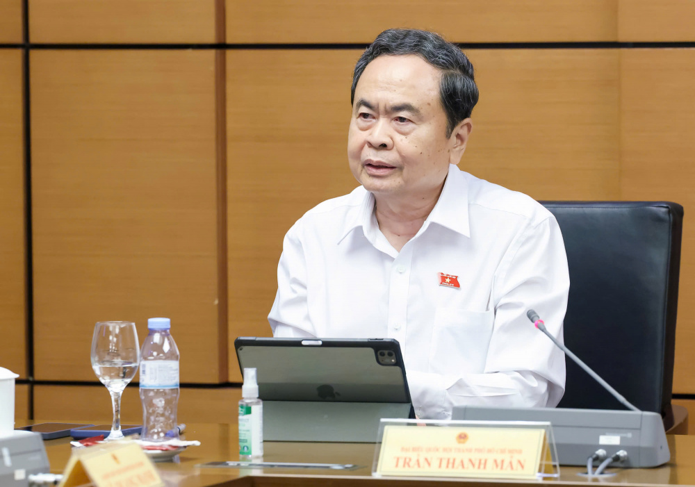 Chủ tịch Quốc hội Trần Thanh Mẫn phát biểu về thủ tục đầu tư điện lực tại phiên thảo luận Tổ 2.