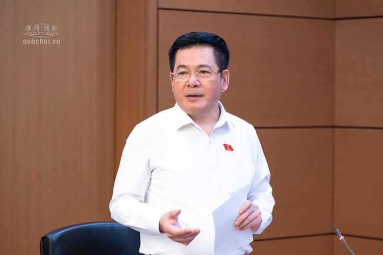Ủy viên Trung ương Đảng, Phó Chủ tịch Quốc hội Nguyễn Hồng Diên phát biểu