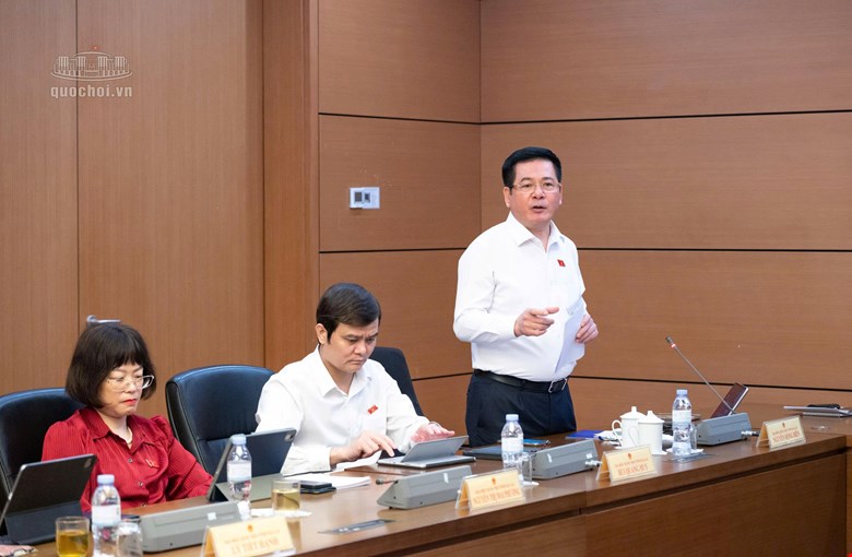Ủy viên Trung ương Đảng, Phó Chủ tịch Quốc hội Nguyễn Hồng Diên phát biểu tại phiên thảo luận 