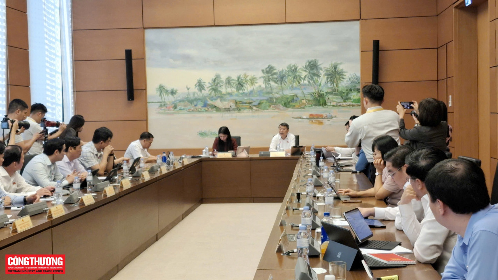 luật điện lực