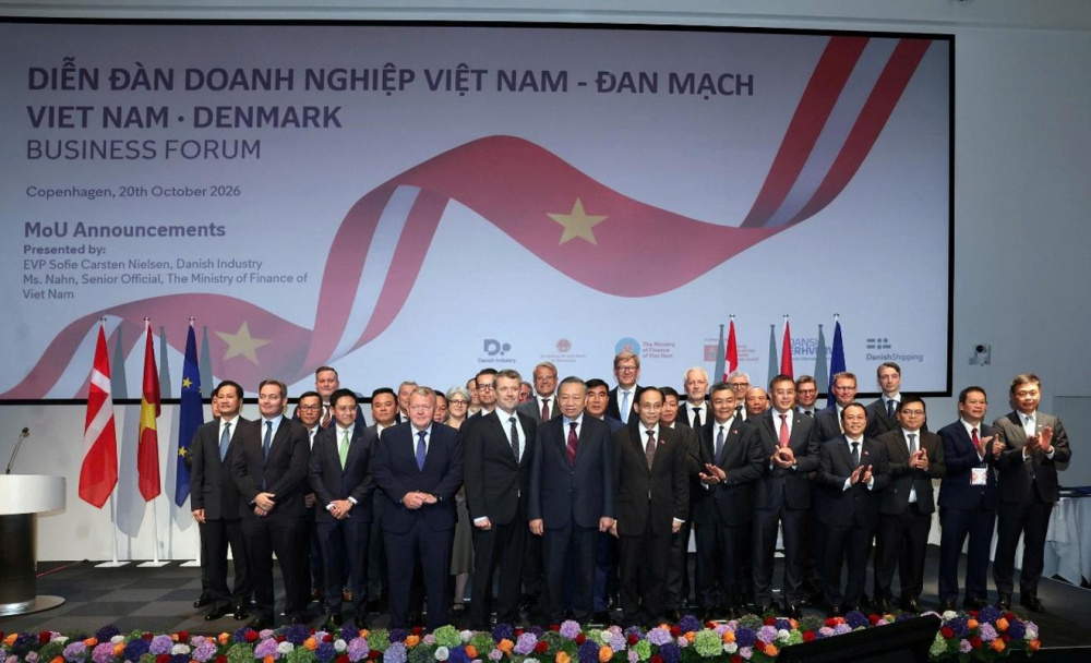 điện gió 1