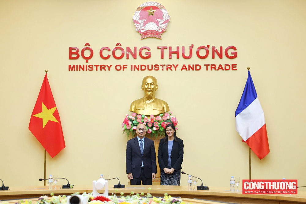 Thứ trưởng Lương Hoàng Thái: Tiếp tục cụ thể hóa các định hướng hợp tác cấp cao giữa Việt Nam và Pháp