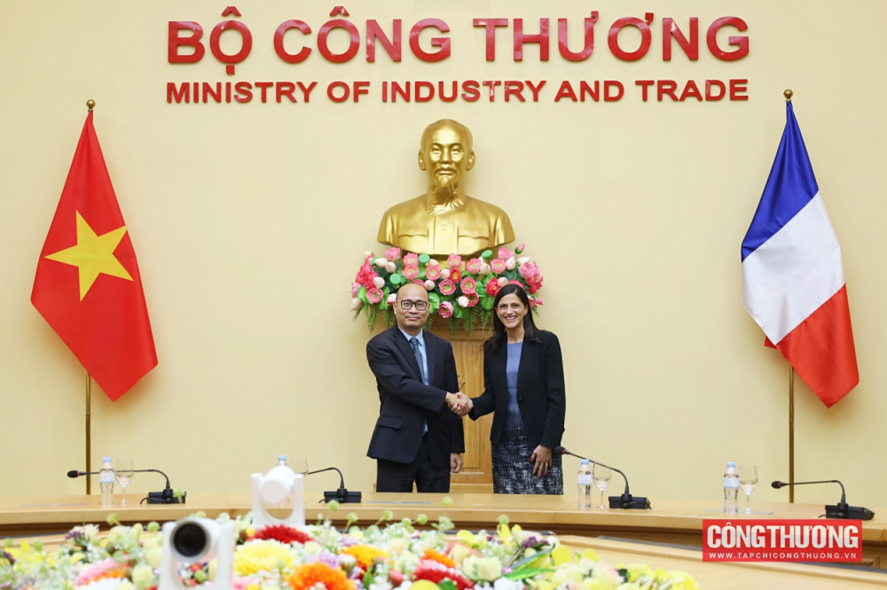 Thứ trưởng Lương Hoàng Thái: Tiếp tục cụ thể hóa các định hướng hợp tác cấp cao giữa Việt Nam và Pháp