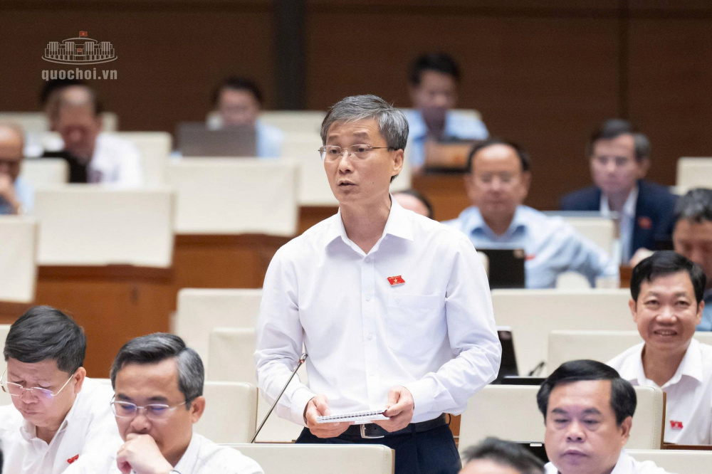 Đại biểu Nguyễn Khánh Ngọc, Đoàn ĐBQH thành phố Đà Nẵng