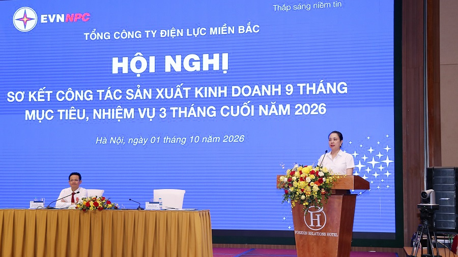 EVNNPC đón nhận Cờ thi đua của Chính phủ