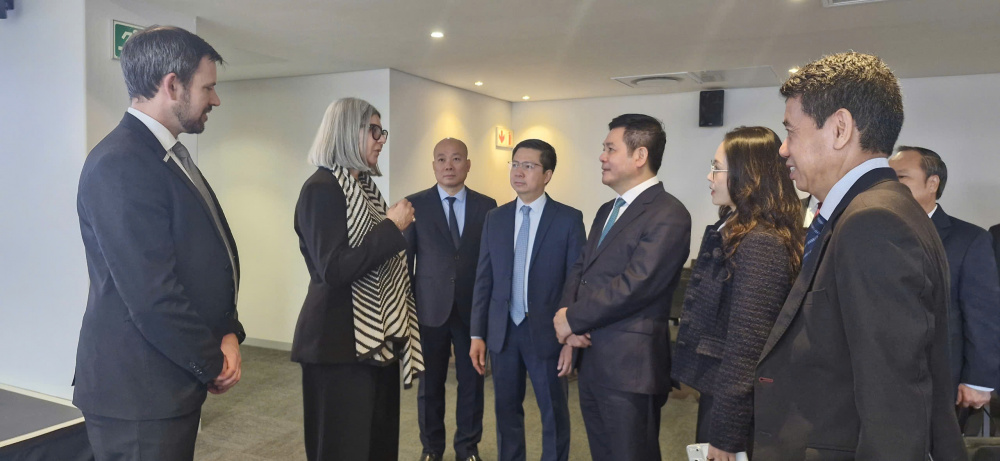 Việt Nam - Nam Phi: Mở rộng dư địa hợp tác kinh tế, thương mại và đầu tư
