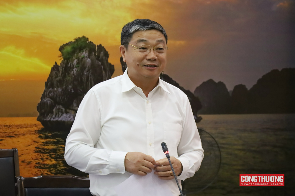Cục trưởng Cục Địa chất và Khoáng sản Việt Nam Trần Bình Trọng báo cáo tại buổi làm việc