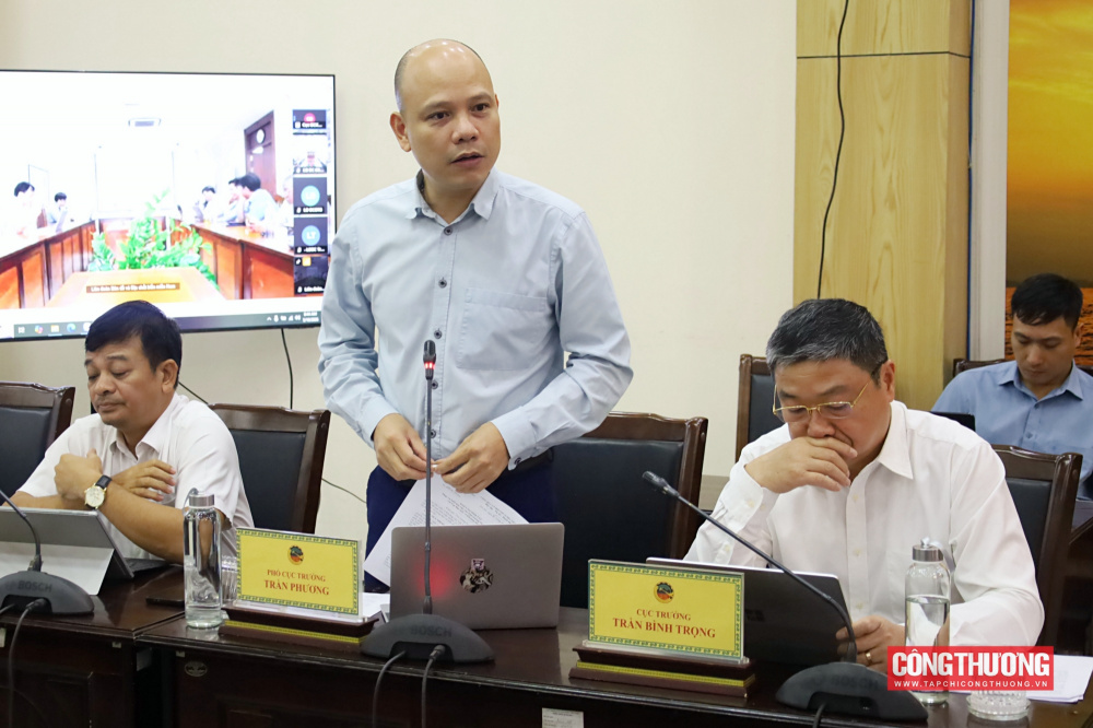Phó Cục trưởng Cục Địa chất và Khoáng sản Việt Nam Trần Phương báo cáo tại buổi làm việc