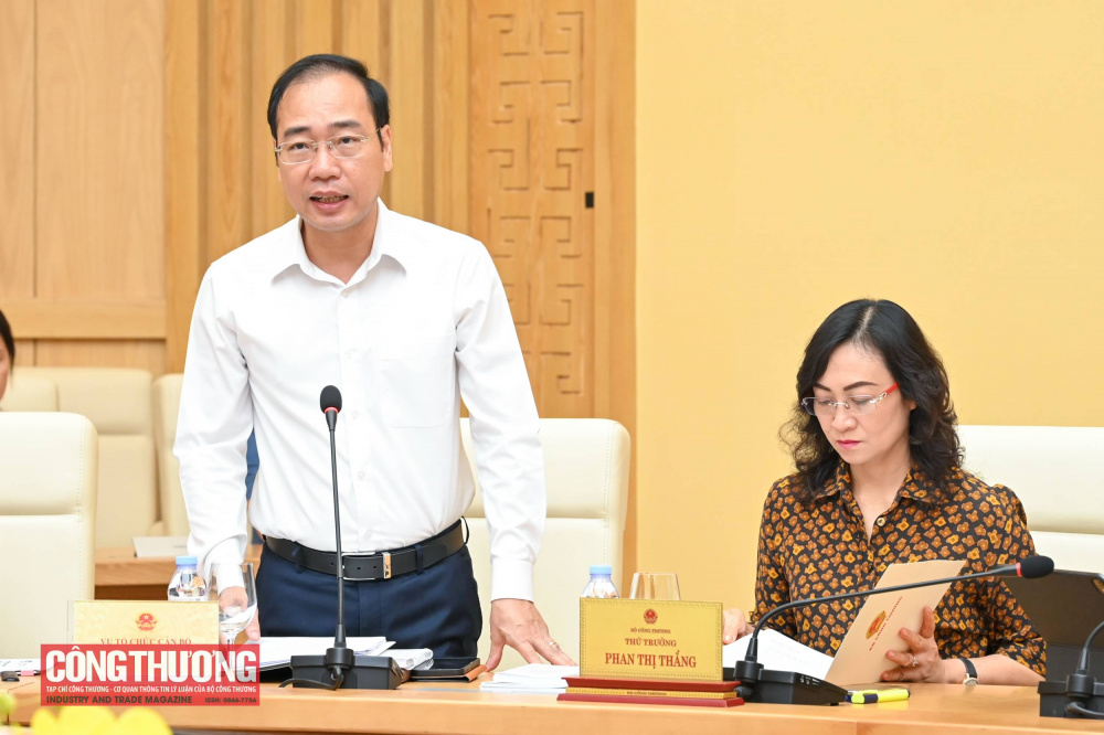 Vụ trưởng Vụ Tổ chức cán bộ Trần Quang Huy báo cáo tại buổi làm việc