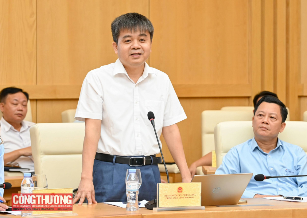 Đại diện các Viện phát biểu tại buổi làm việc
