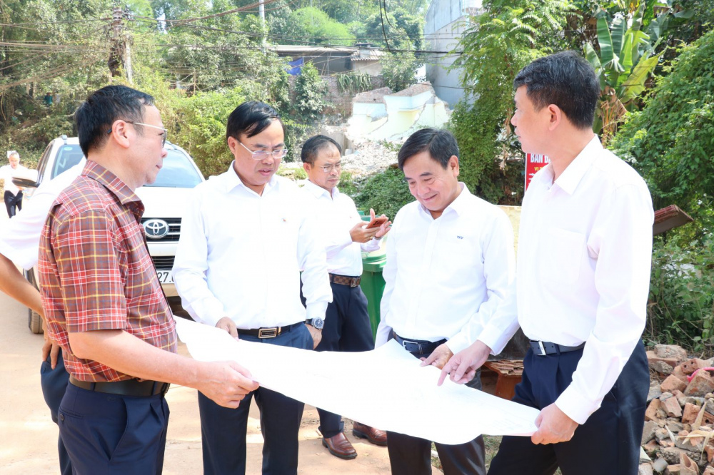 dự án 7