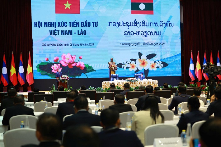 dự án muối mỏ