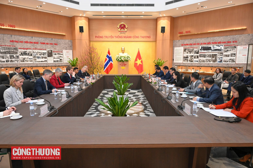 Quyền Bộ trưởng Bộ Công Thương Lê Mạnh Hùng tiếp Ông Åsmund Aukrust, Bộ trưởng Phát triển quốc tế Na Uy