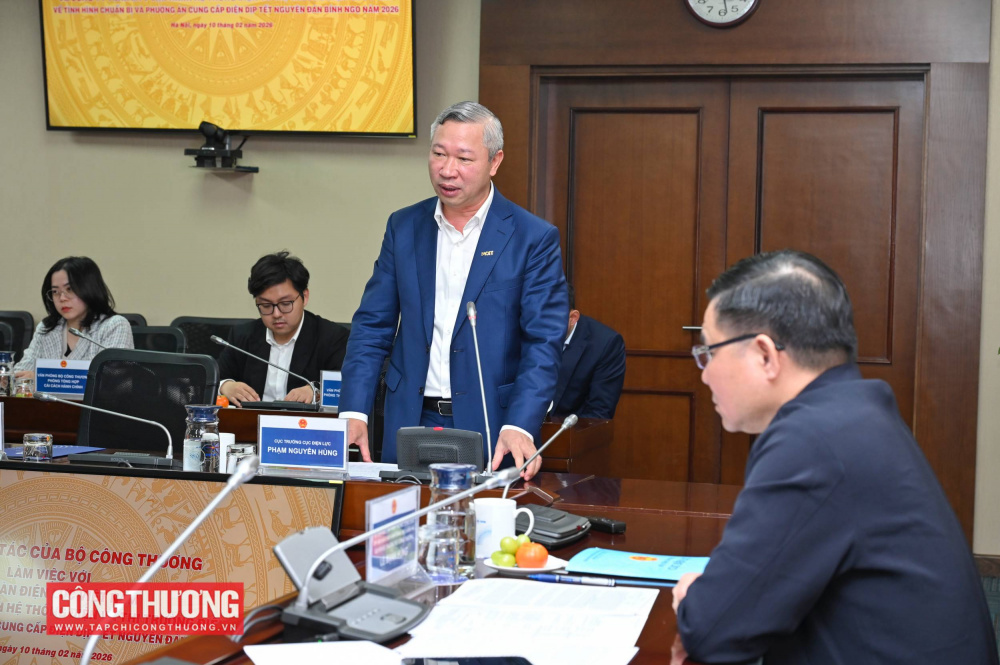 Cục trưởng Cục Điện lực Phạm Nguyên Hùng phát biểu tại buổi làm việc