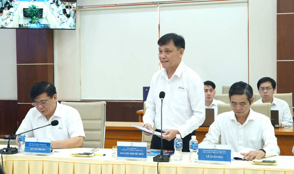 Tổng giám đốc EVNSPC Nguyễn Phước Đức báo cáo tại buổi làm việc