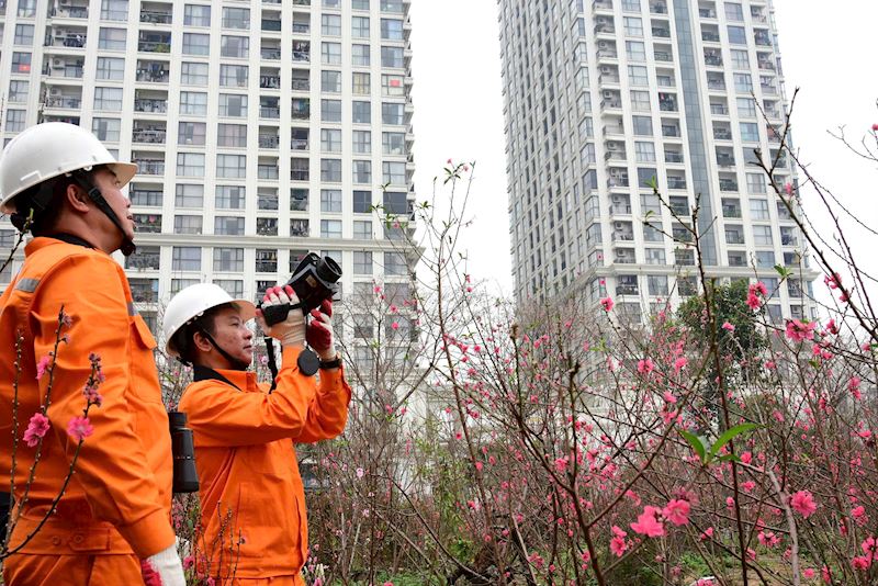 Sau Tết Nguyên đán Bính Ngọ 2026, EVN tăng tốc đảm bảo điện và dự án trọng điểm