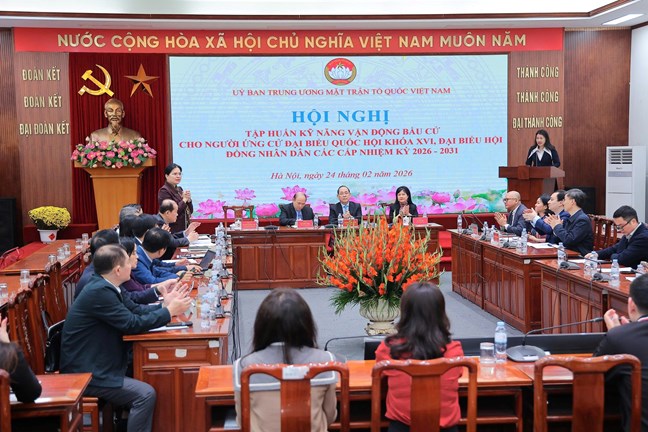 tập huấn bầu cử