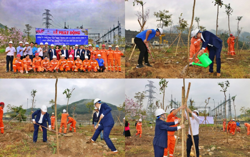 hình ảnh tại Lễ trồng cây