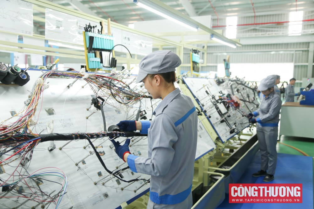 Chính phủ ban hành Nghị quyết số 29/NQ-CP ngày 24/02/2026 Chương trình hành động thực hiện Nghị quyết số 79-NQ/TW ngày 06/01/2026 của Bộ Chính trị về phát triển kinh tế nhà nước 