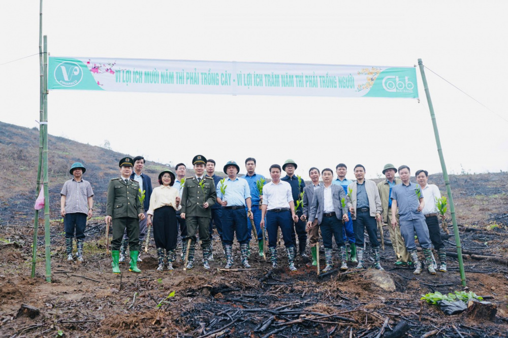 VINAPACO ra quân Tết trồng cây