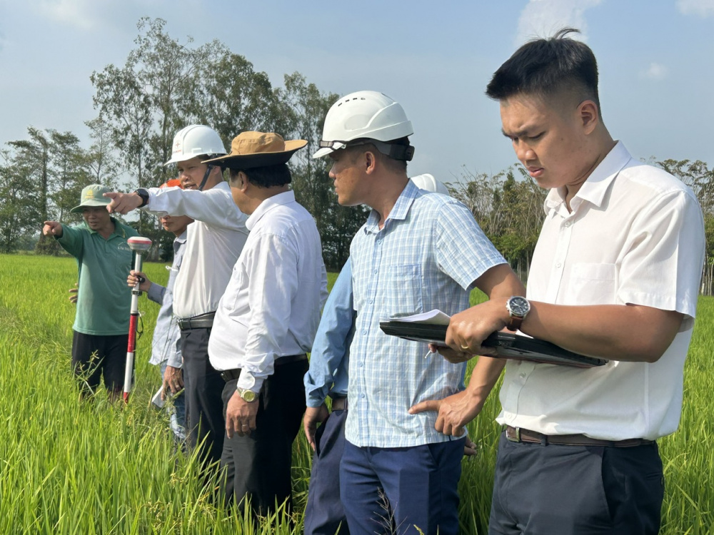 Tổng công ty Điện lực miền Nam 