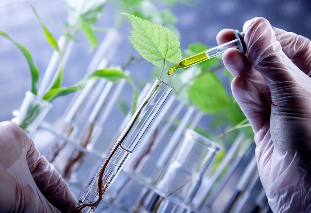 công nghệ sinh học