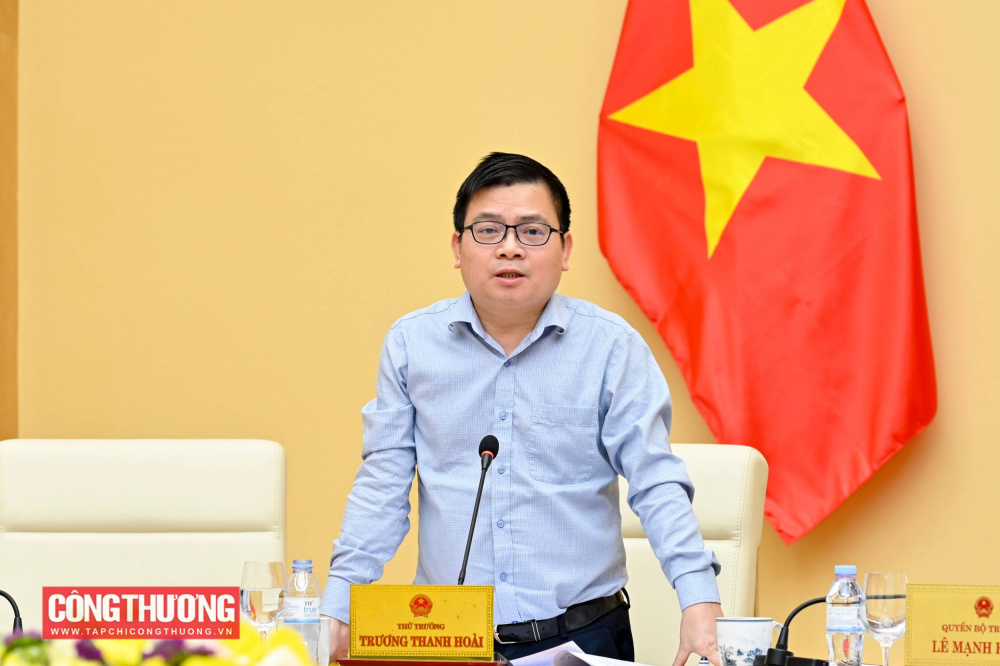 Thứ trưởng Trương Thanh Hoài phát biểu tại buổi làm việc