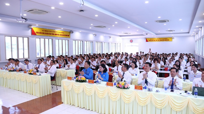 casumina lợi nhuận