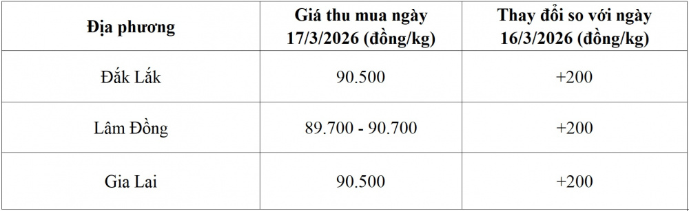 giá cà phê hôm nay