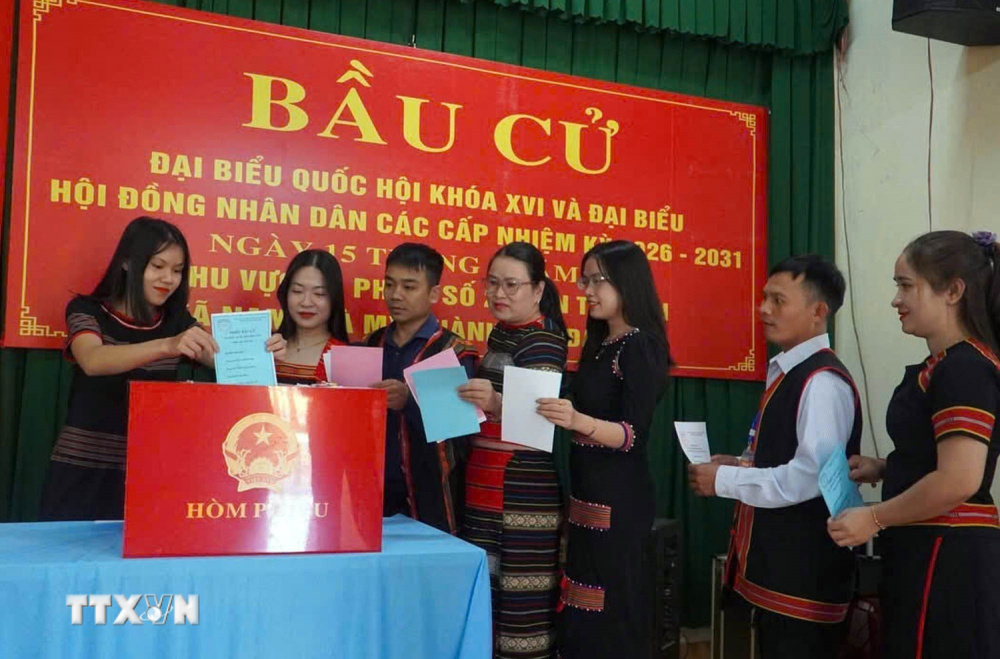 bầu cử Đà Nẵng