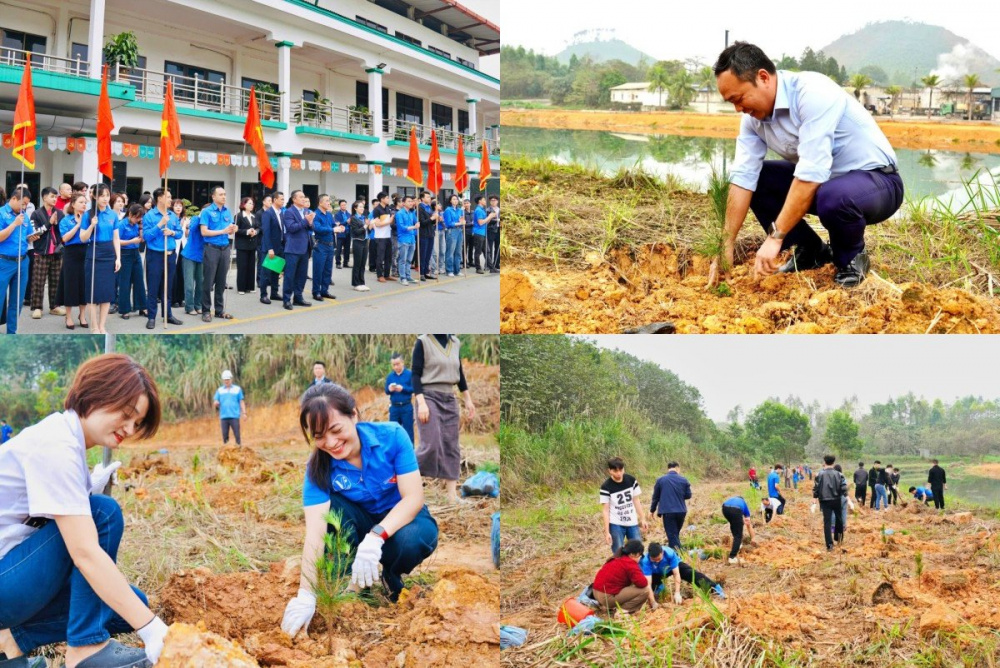 Tổng Công ty Giấy Việt Nam