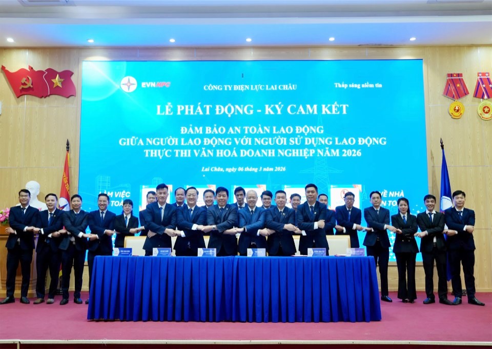 Công ty Điện lực Lai Châu