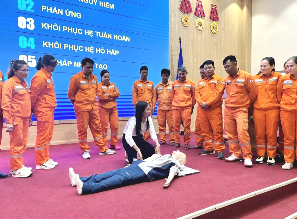 Công ty Điện lực Lai Châu