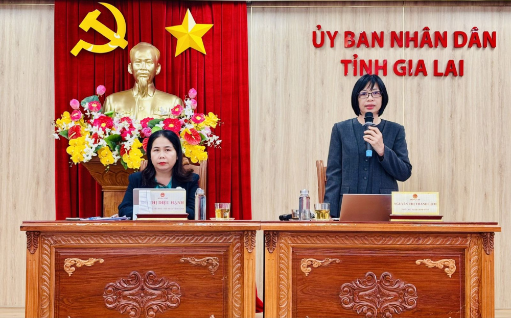 Phó Chủ tịch UBND tỉnh Nguyễn Thị Thanh Lịch tỉnh Gia Laiphát biểu