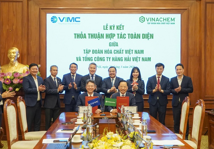 hợp tác 4