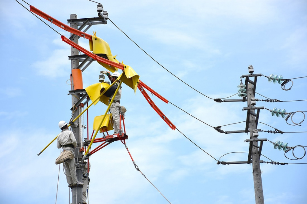 Thực hiện các giải pháp quản lý kỹ thuật, đầu tư, cải tạo và nâng cấp lưới điện, tăng cường công tác quản lý kỹ thuật, hạn chế sự cố