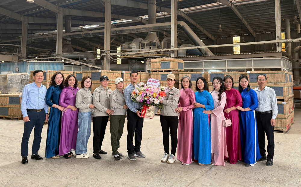 Tổng công ty Thép Việt Nam