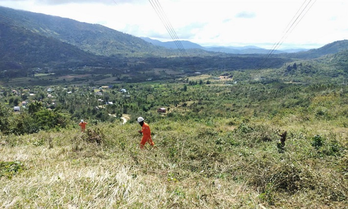 Vận hành an toàn lưới điện