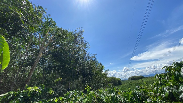 Truyền tải điện