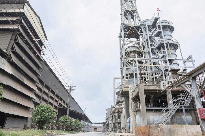 phân bón miền nam phát triển 2