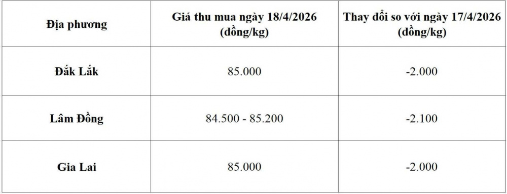 giá cà phê hôm nay