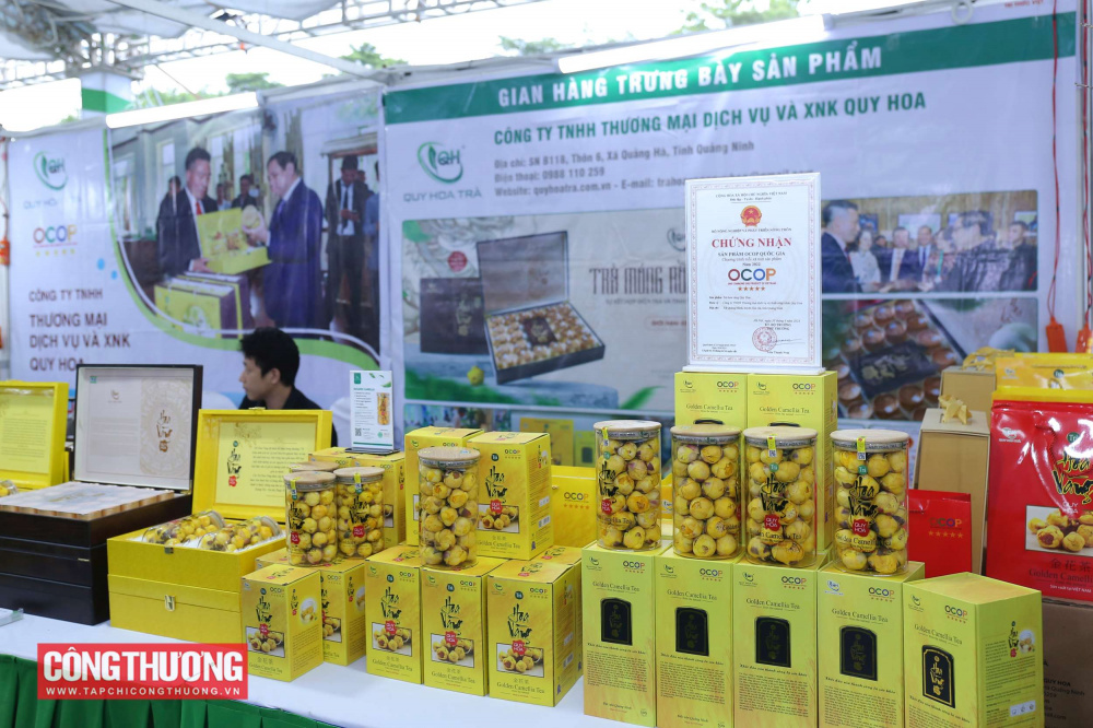 Nghị quyết của Chính phủ: Kích cầu tiêu dùng trong nước, đẩy mạnh Cuộc vận động "Người Việt Nam ưu tiên dùng hàng Việt Nam"